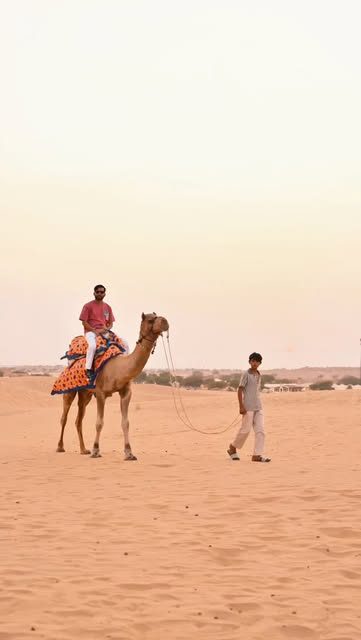 Sam Jaisalmer 💕

#rajasthan #jaisalmer #viralvideos #desertlife #desert